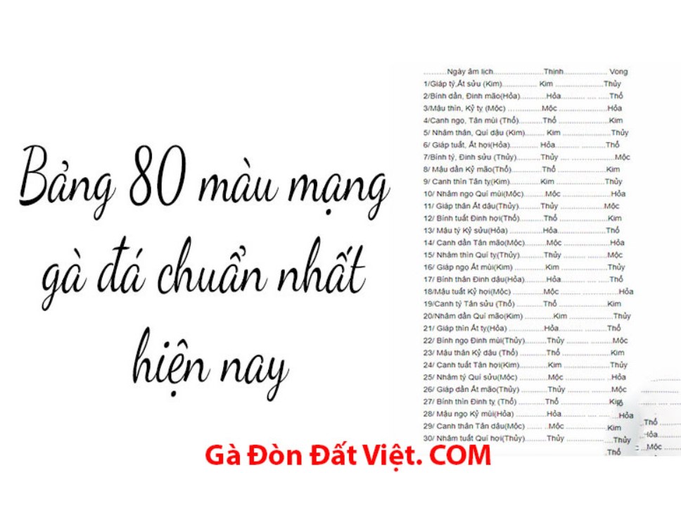 80 màu mạng gà đá